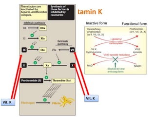 Vitamin K
Functional formInactive form
Vit. K
Vit. K
 