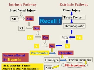 Blood Vessel Injury
IX IXa
XI XIa
X Xa
XII XIIa
Tissue Injury
Tissue Factor
Thromboplastin
VIIa VII
X
Prothrombin Thrombin
Fibrinogen Fribrin monomer
Fibrin polymer
XIII
Intrinsic Pathway Extrinsic Pathway
Factors affected
By Heparin
Vit. K dependent Factors
Affected by Oral Anticoagulants
Recall !
 