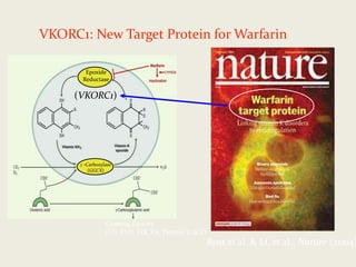 VKORC1: New Target Protein for Warfarin
Epoxide
Reductase
 -Carboxylase
(GGCX)
Clotting Factors
(FII, FVII, FIX, FX, Protein C/S/Z)
Rost et al. & Li, et al., Nature (2004)
(VKORC1)
 