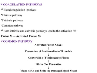 COAGULATION PATHWAYS
Blood coagulation involves:
•Intrinsic pathway
•Extrinsic pathway
•Common pathway
Both intrinsic and extrinsic pathways lead to the activation of:
Factor X → Activated Factor Xa
COMMON PATHWAY
Activated Factor X (Xa)
↓
Conversion of Prothrombin to Thrombin
↓
Conversion of Fibrinogen to Fibrin
↓
Fibrin Clot Formation
↓
Traps RBCs and Seals the Damaged Blood Vessel
 
