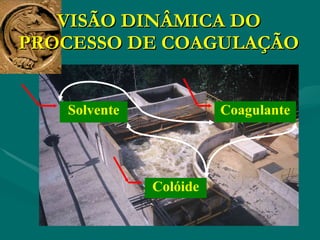 VISÃO DINÂMICA DO PROCESSO DE COAGULAÇÃO Solvente Coagulante Colóide 