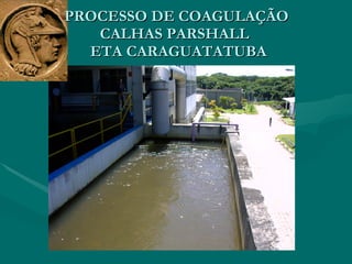 PROCESSO DE COAGULAÇÃO CALHAS PARSHALL   ETA CARAGUATATUBA 