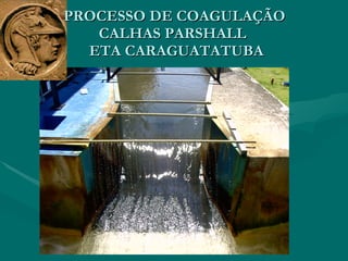 PROCESSO DE COAGULAÇÃO CALHAS PARSHALL   ETA CARAGUATATUBA 