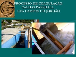 PROCESSO DE COAGULAÇÃO CALHAS PARSHALL   ETA CAMPOS DO JORDÃO 