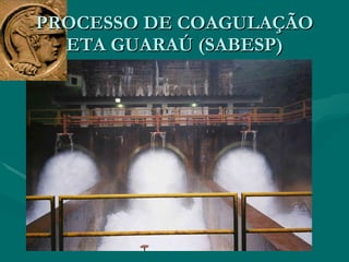 PROCESSO DE COAGULAÇÃO ETA GUARAÚ (SABESP) 
