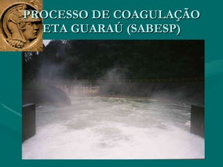 PROCESSO DE COAGULAÇÃO ETA GUARAÚ (SABESP) 