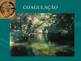 COAGULAÇÃO 