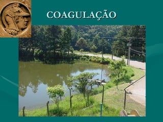 COAGULAÇÃO 