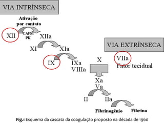 Fig.1 Esquema da cascata da coagulação proposto na década de 1960
 