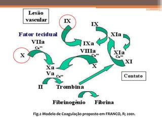 Fig.2 Modelo de Coagulação proposto em FRANCO, R; 2001.
 