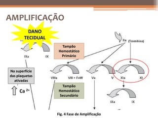 AMPLIFICAÇÃO
          DANO
        TECIDUAL
                     Tampão
                   Hemostático
                    Primário


Na superfície
das plaquetas
  ativadas
                     Tampão
     Ca 2+         Hemostático
                   Secundário



                   Fig. 4 Fase de Amplificação
 