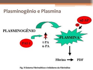 Plasminogênio e Plasmina




      Fig. 9 Sistema Fibrinolítico e Inibidores da Fibrinólise
 