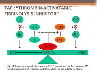 TAFI: “THROMBIN-ACTIVATABLE
FIBRINOLYSIS INHIBITOR”




 Fig. 10. Esquema adaptado da referência 1. PLG: plasminogênio, Pn: plasmina, TM:
 trombomodulina, FGN: fibrinogênio,PDF: produtos de degradação de fibrina.
 