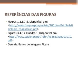 REFERÊNCIAS DAS FIGURAS
• Figuras 1,2,6,7,8. Disponível em:
  <http://www.fmrp.usp.br/revista/2001/vol34n3e4/fi
  siologia_coagulacao.pdf>
• Figuras 3,4,5 e Quadro 1. Disponível em:
  <http://www.scielo.br/pdf/rbhh/v32n5/aop101010.
  pdf>
• Demais: Banco de Imagens Picasa
 
