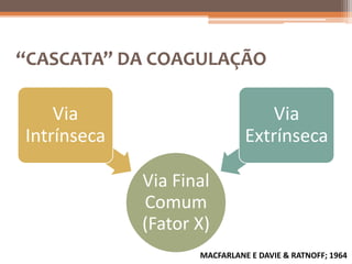 “CASCATA” DA COAGULAÇÃO

    Via                           Via
Intrínseca                    Extrínseca

             Via Final
             Comum
             (Fator X)
                    MACFARLANE E DAVIE & RATNOFF; 1964
 