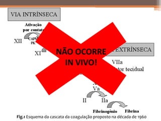 NÃO OCORRE
                     IN VIVO!




Fig.1 Esquema da cascata da coagulação proposto na década de 1960
 