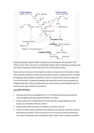 Cascata de Coagulação. Legenda: HMWK =Cininogênio de Alto Peso Molecular, PK= Precalicreína, TFPI
=Inibidor do Fator Tissular. Seta preta= conversão/ativação de fatores. Seta vermelha=ação dos inibidores. Seta
Azul= reações catalisadas por fatores ativados. Seta Cinza= várias funções da trombina.


Possui duas vías: intrínseca (vía da ativação de contato) e extrínseca (vía do fator tissular). Ambas
vías tem grande importância e acabam se juntando para formação do coágulo de fibrina. Os fatores
de coagulação são numerados por algarismos romanos e a adição da letra aindica que eles estão
em sua forma ativada. Os fatores de coagulação são geralmente enzimas (serino proteases) com
exceção dos fatores V e VIII que são glicoproteínas e do fator XIII que é uma transglutaminase. As
serino proteases agem clivando outras proteínas.

[editar]Vía intrínseca


    Necessita dos factores de coagulação VIII, IX, X, XI e XII além das proteínas pré-calicreína
     (PK), cininogênio de alto peso molecular (HWHK) e íons cálcio.

    Começa quando a PK, o HWHK, factor XI e XII são expostos a cargas negativas do vaso
     lesado, isso é chamado de "fase de contacto".

    A pré-calicreína então converte-se em calicreína e esta activa o fator XII.

    O fator XII activado acaba convertendo mais prekalicreína em calicreína e activando o factor XI.
     Na presença de íos cálcio, o fator XI ativado ativa o IX. Por sua vez o factor IX activado junto
     com o factor VIII activado, levam à activação do factor X. Deste modo, o complexo enzimático
 