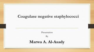 Coagulase negative staphylococci
Presentation
By
Marwa A. Al-Asady
 