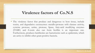 Virulence factors of Co.N.S
• The virulence factor that produce and dangerous to host tissue, include
toxins, and degradative exoenzymes: metallo-protease with elastase activity,
cysteine protease, serine, protease, lipase, fatty-acid modifying enzymes
(FAME) and δ-toxin also can form biofilm is an important one.
Furthermore, produces lantibiotics are bacteriocins such as epidermin, which
are active to inhibit other gram-positive bacteria.
Marwa A. Al-Asady
 
