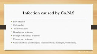 Infection caused by Co.N.S
• Skin infection
• Endocarditis
• Endophthalmitis
• Bloodstream infections
• Foreign body-related infections
• Urinary tract infection
• Other infections (cerebrospinal shunt infections, meningitis, ventriculitis).
Marwa A. Al-Asady
 