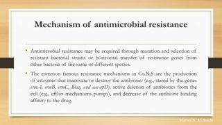 Mechanism of antimicrobial resistance
• Antimicrobial resistance may be acquired through mutation and selection of
resistant bacterial strains or horizontal transfer of resistance genes from
other bacteria of the same or different species.
• The common famous resistance mechanisms in Co.N.S are the production
of enzymes that inactivate or destroy the antibiotics (e.g., stated by the genes
ermA, ermB, ermC, Blaz, and aac-apD), active deletion of antibiotics from the
cell (e.g., efflux-mechanisms pumps), and decrease of the antibiotic binding
affinity to the drug.
Marwa A. Al-Asady
 