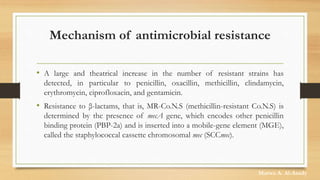 Mechanism of antimicrobial resistance
• A large and theatrical increase in the number of resistant strains has
detected, in particular to penicillin, oxacillin, methicillin, clindamycin,
erythromycin, ciprofloxacin, and gentamicin.
• Resistance to β-lactams, that is, MR-Co.N.S (methicillin-resistant Co.N.S) is
determined by the presence of mecA gene, which encodes other penicillin
binding protein (PBP-2a) and is inserted into a mobile-gene element (MGE),
called the staphylococcal cassette chromosomal mec (SCCmec).
Marwa A. Al-Asady
 