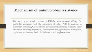 Mechanism of antimicrobial resistance
• The mecA gene, which encodes a PBP-2a, with reduced affinity for
methicillin compared with the attractions of other PBP. In addition to
methicillin resistance, Co.N.S strains have acquired resistance to several other
antibiotics, including rapamycin, fluoroquinolones, gentamycin, tetracycline,
erythromycin, chloramphenicol, clindamycin and sulphonamides
Marwa A. Al-Asady
 