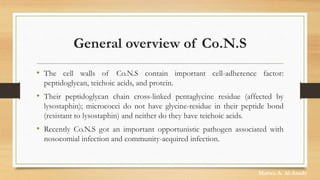 General overview of Co.N.S
• The cell walls of Co.N.S contain important cell-adherence factor:
peptidoglycan, teichoic acids, and protein.
• Their peptidoglycan chain cross-linked pentaglycine residue (affected by
lysostaphin); micrococci do not have glycine-residue in their peptide bond
(resistant to lysostaphin) and neither do they have teichoic acids.
• Recently Co.N.S got an important opportunistic pathogen associated with
nosocomial infection and community-acquired infection.
Marwa A. Al-Asady
 
