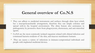 General overview of Co.N.S
• They can adhere to medicinal instruments and surfaces through slime layer which
has a mucopolysaccharide arrangement, therefore they can simply colonize and
spread with-in the hospital environment. The slime feature also assistances in
pathogenicity by protective them from phagocytosis, chemotaxis, and anti-microbial
agents.
• Co.N.S are the most commonly isolated organism related with clinical infection and
communal bacteria residents of the skin, and mucous membranes humans.
• They are causes a variety of infections in immune-compromised individuals and
people with implanted medicinal devices.
Marwa A. Al-Asady
 
