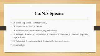 Co.N.S Species
• S. conhii (ssp.conhii , ssp.urealyticus),
• S. nepalensis S. klossi , S .arletta
• S. sciuri(ssp.sciuri, ssp.carnaticus, ssp.rodentium)
• S. fleurettii, S. lentus, S. stepanovicii, S. vitulinus, S .simulans, S. carnosus (ssp.utilis,
ssp.carnosus),
• S. codimenti, S. piscifermentans, S. muscae, S. microti, S.rosteri
• S. auricularis
Marwa A. Al-Asady
 