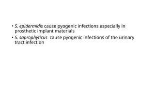 • S. epidermidis cause pyogenic infections especially in
prosthetic implant materials
• S. saprophyticus cause pyogenic infections of the urinary
tract infection
 