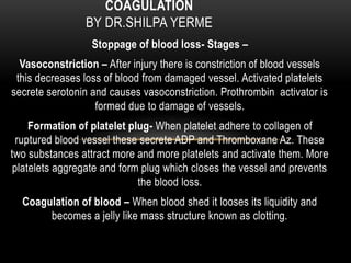 Stoppage of blood loss- Stages –
Vasoconstriction – After injury there is constriction of blood vessels
this decreases loss of blood from damaged vessel. Activated platelets
secrete serotonin and causes vasoconstriction. Prothrombin activator is
formed due to damage of vessels.
Formation of platelet plug- When platelet adhere to collagen of
ruptured blood vessel these secrete ADP and Thromboxane Az. These
two substances attract more and more platelets and activate them. More
platelets aggregate and form plug which closes the vessel and prevents
the blood loss.
Coagulation of blood – When blood shed it looses its liquidity and
becomes a jelly like mass structure known as clotting.
COAGULATION
BY DR.SHILPA YERME
 