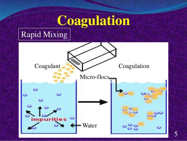 coagulant and flocculant