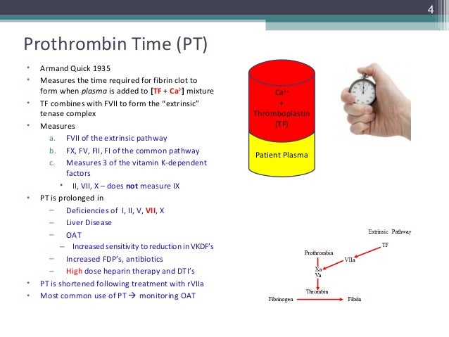 clot blood dimer d test part 1 assays Coagulation