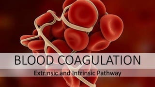 BLOOD COAGULATION
Extrinsic and Intrinsic Pathway
 