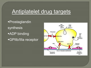 Prostaglandin
synthesis
ADP binding
GPIIb/IIIa receptor
Antiplatelet drug targets
 