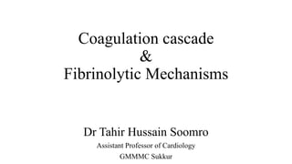 Coagulation cascade
&
Fibrinolytic Mechanisms
Dr Tahir Hussain Soomro
Assistant Professor of Cardiology
GMMMC Sukkur
 