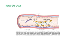 Coagulation disorders | PPTX