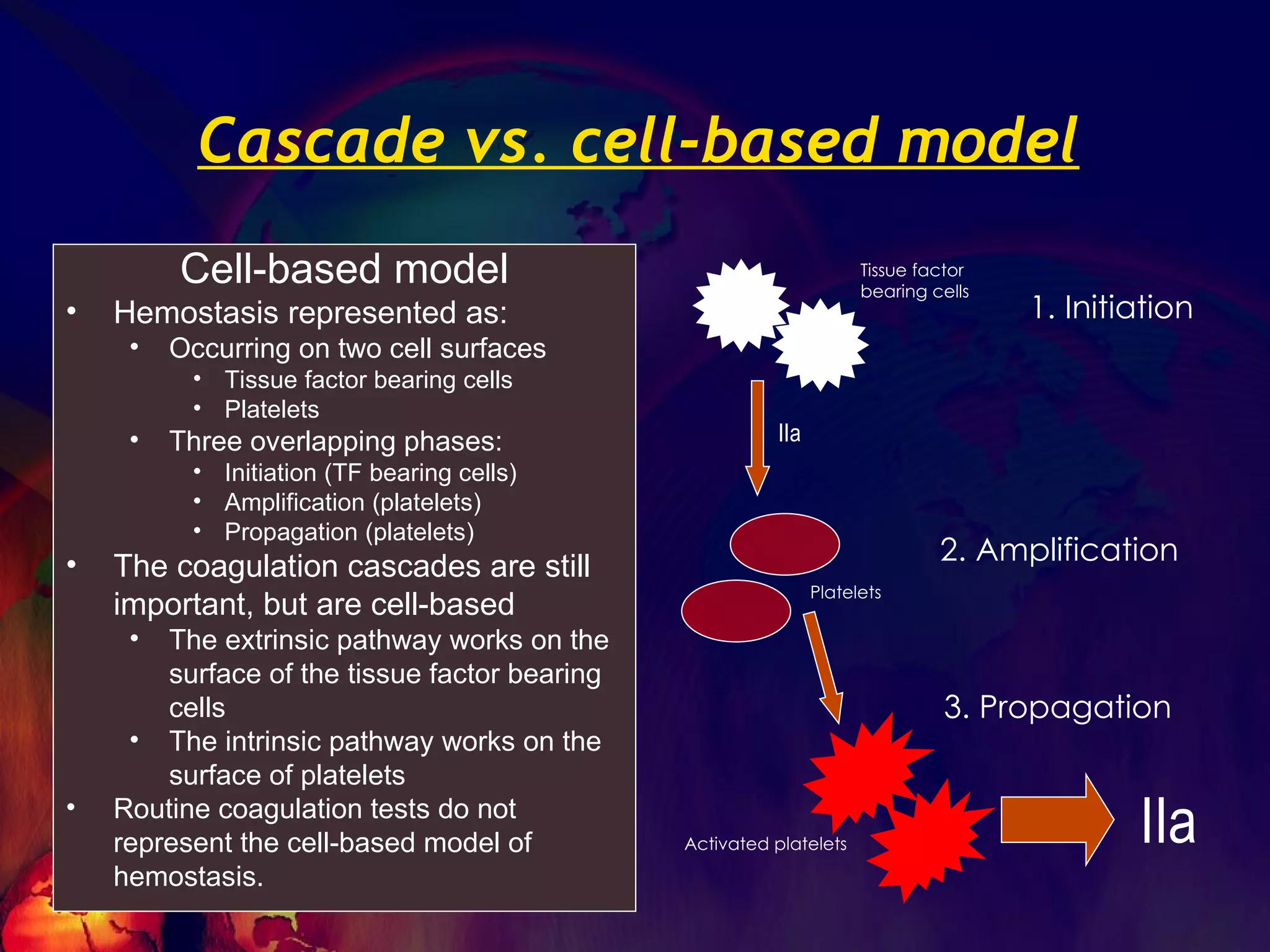 Cascade vs. cell-based model Cell-based model Hemostasis represented as: Occurring on two cell surfaces  Tissue factor bearing cells Platelets  Three overlapping phases: Initiation (TF bearing cells) Amplification (platelets) Propagation (platelets) The coagulation cascades are still important, but are cell-based The extrinsic pathway works on the surface of the tissue factor bearing cells The intrinsic pathway works on the surface of platelets Routine coagulation tests do not represent the cell-based model of hemostasis. Tissue factor bearing cells 1. Initiation Platelets Activated platelets 2. Amplification 3. Propagation IIa IIa 