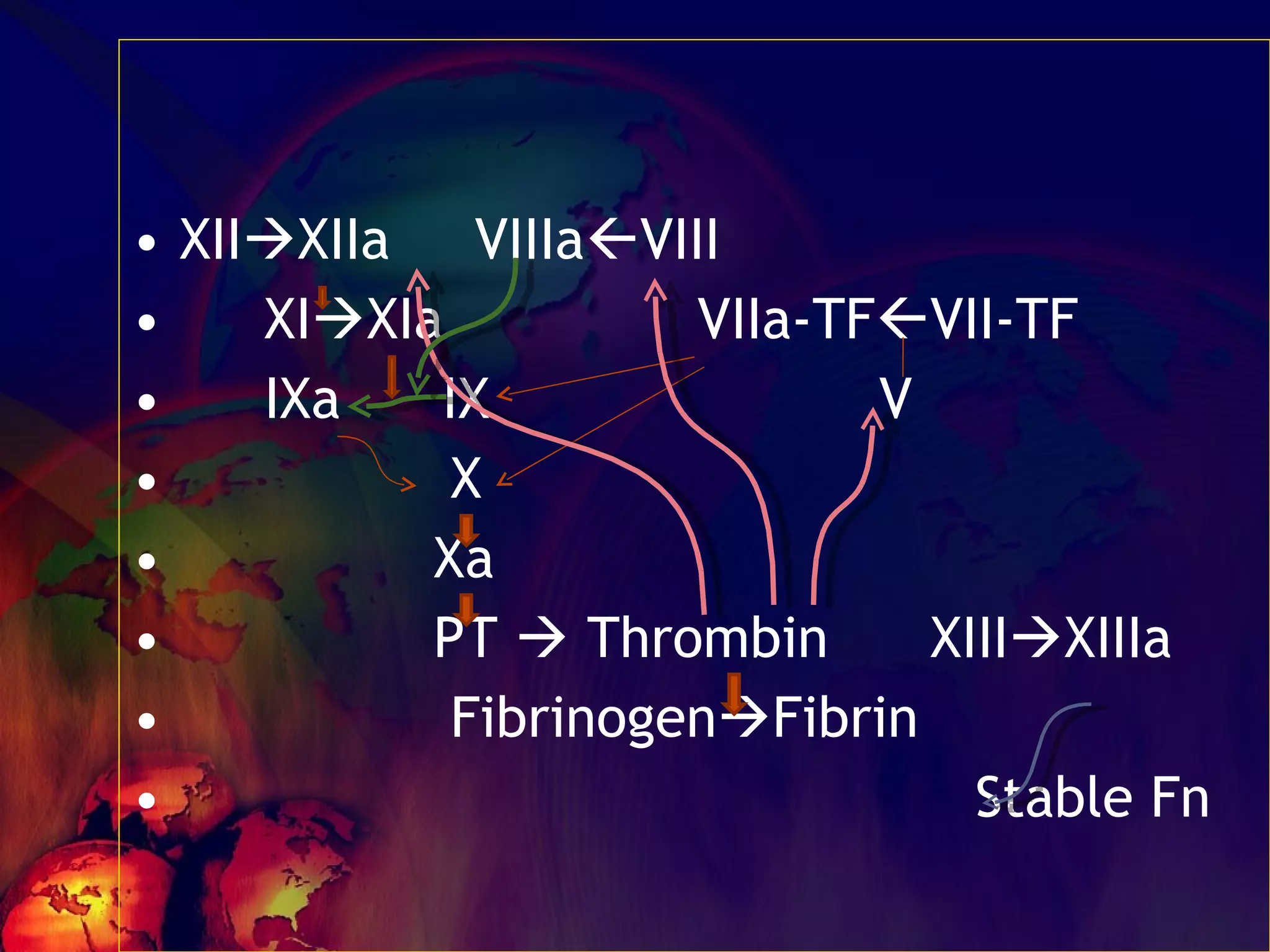 XII  XIIa  VIIIa  VIII XI  XIa  VIIa-TF  VII-TF IXa  IX  V X Xa PT    Thrombin  XIII  XIIIa  Fibrinogen  Fibrin Stable Fn  
