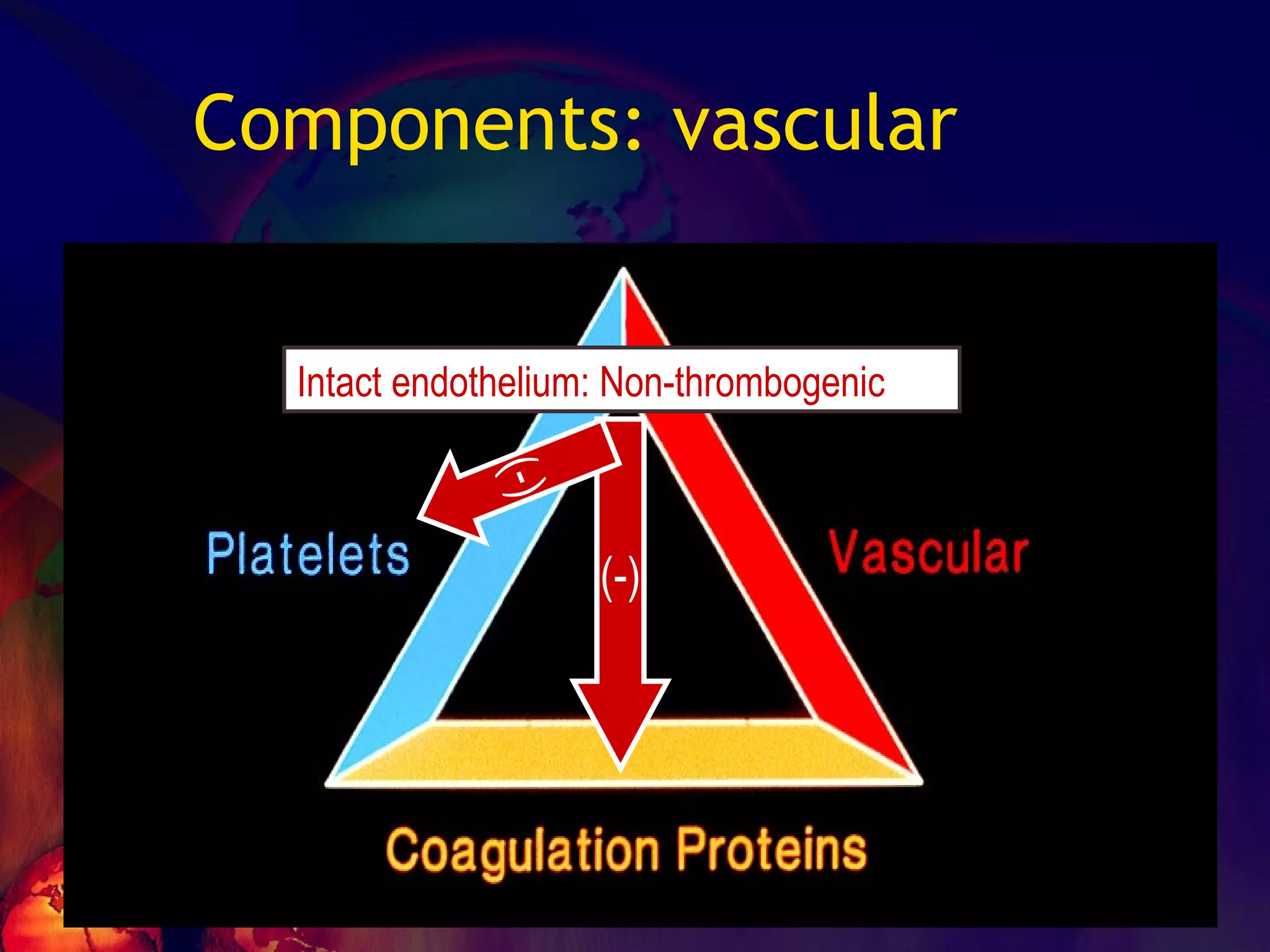 Components: vascular Intact endothelium: Non-thrombogenic (-) (-) 
