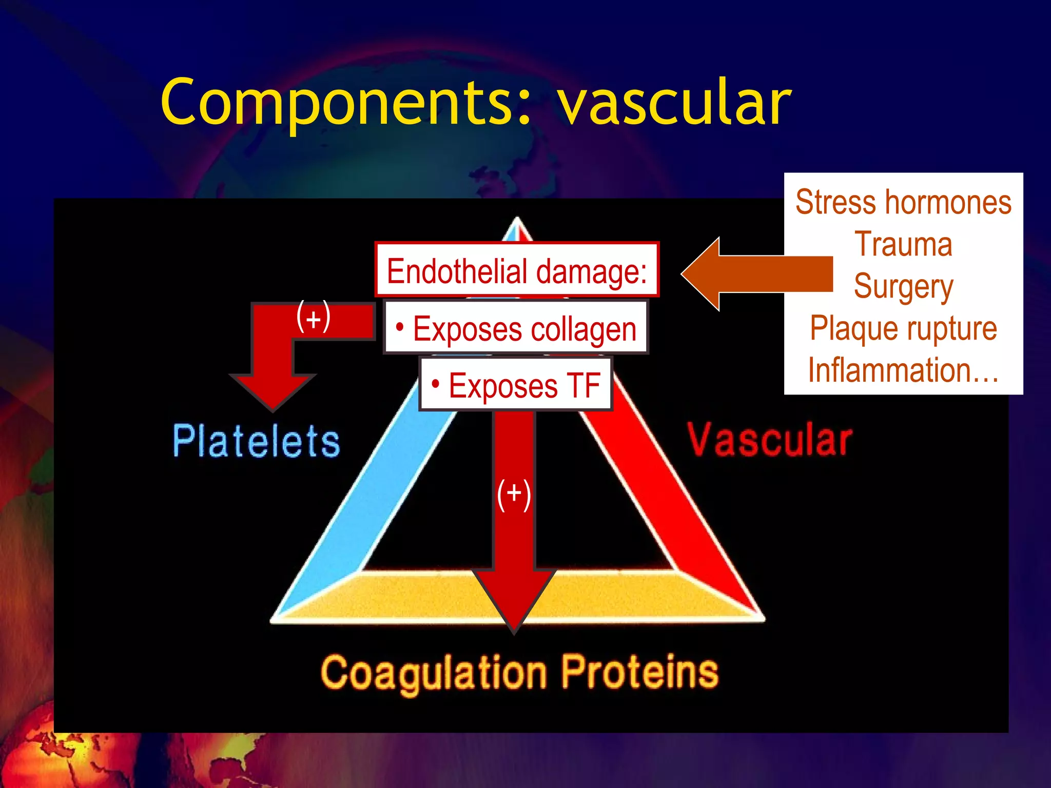 Components: vascular Endothelial damage: (+) (+) Stress hormones Trauma Surgery Plaque rupture Inflammation… Exposes collagen Exposes TF 