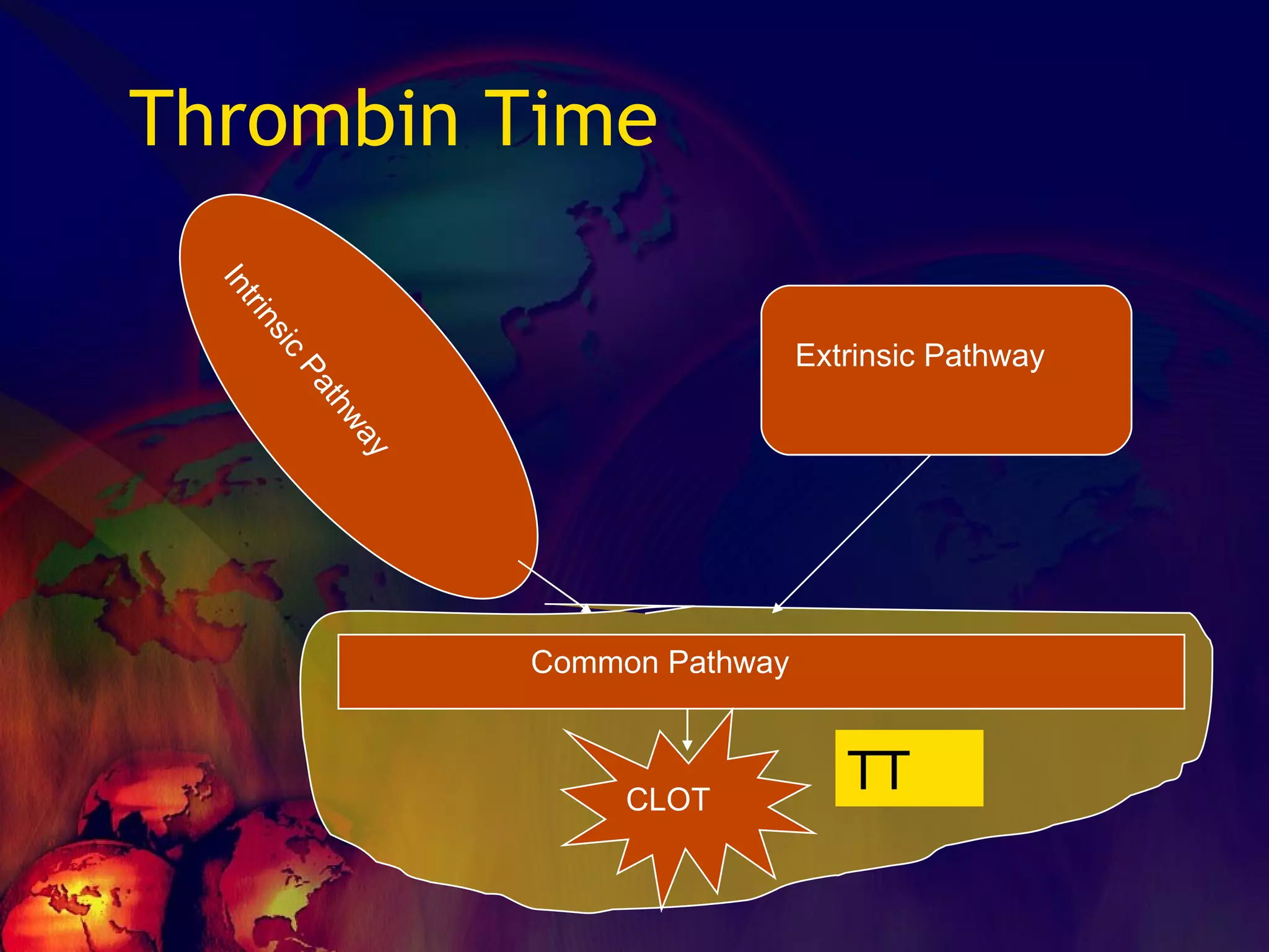 Thrombin Time Intrinsic Pathway Extrinsic Pathway Common Pathway CLOT TT 