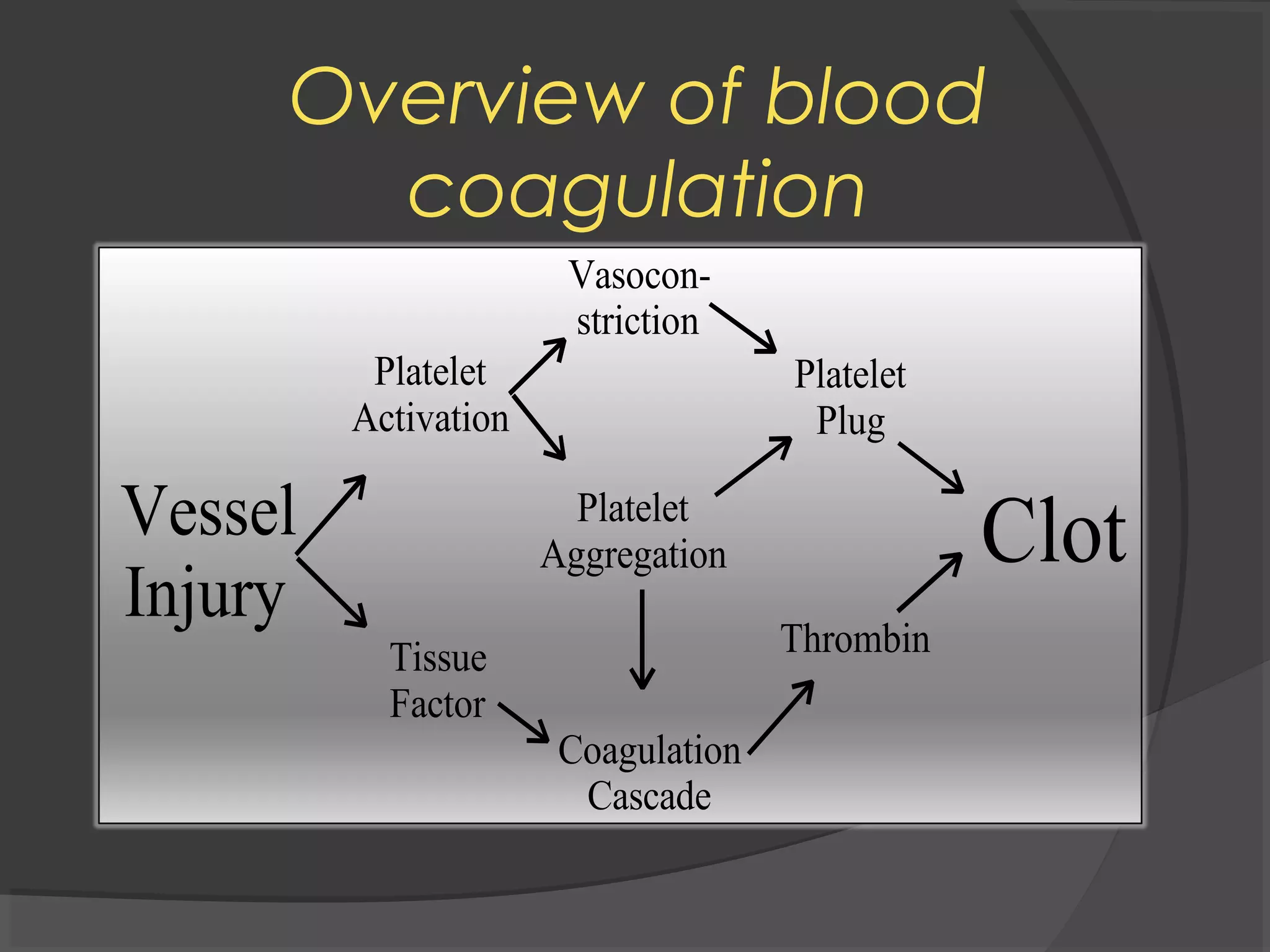Overview of blood
coagulation
Vessel
Injury
Platelet
Activation
Tissue
Factor
Coagulation
Cascade
Platelet
Aggregation
Platelet
Plug
Thrombin
Clot
Vasocon-
striction
 