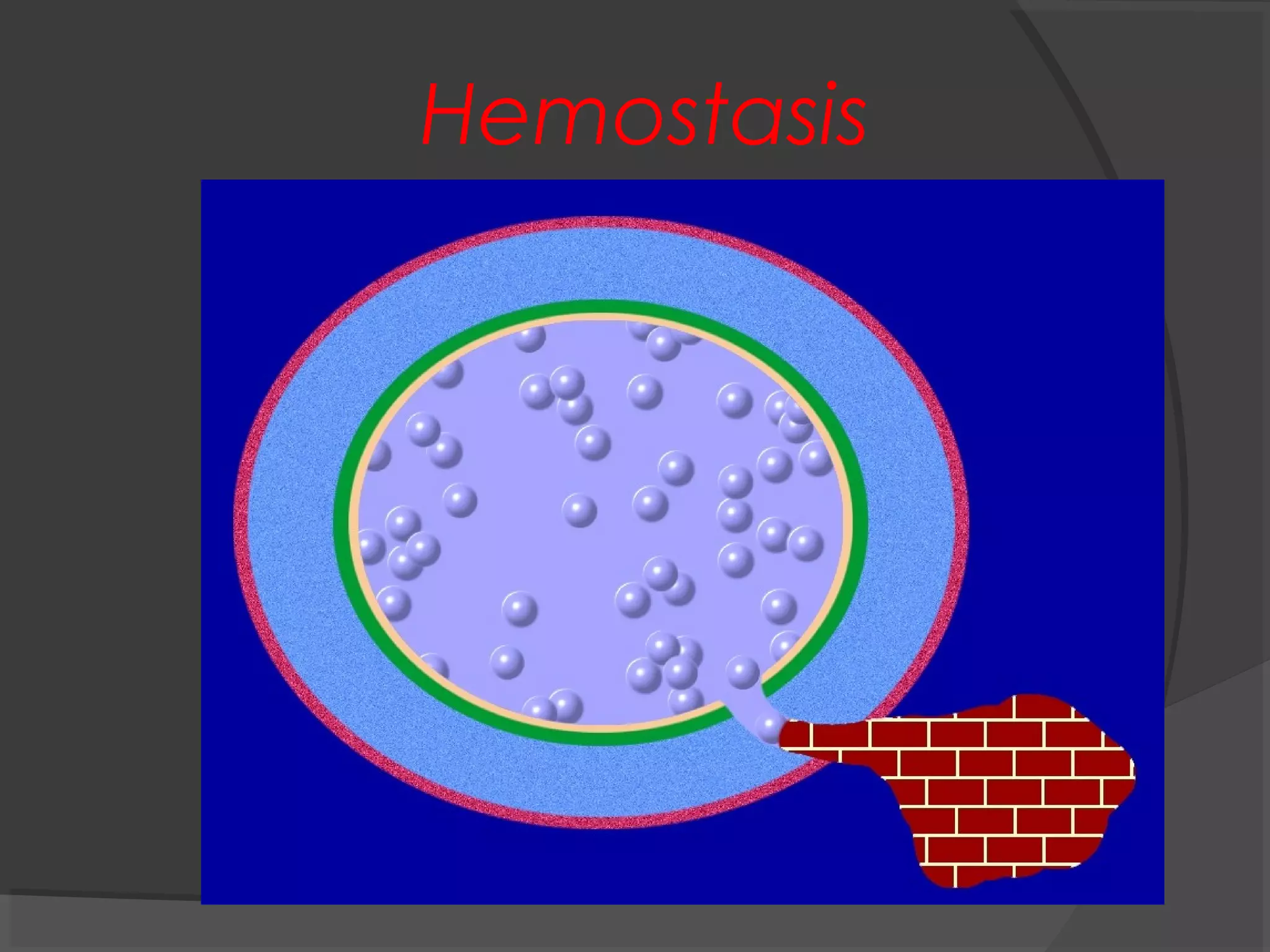 Hemostasis
 