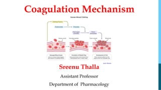 Coagulation Mechanism
Sreenu Thalla
Assistant Professor
Department of Pharmacology
 
