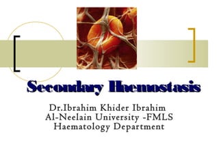 Secondary HaemostasisSecondary Haemostasis
Dr.Ibrahim Khider Ibrahim
Al-Neelain University -FMLS
Haematology Department
 