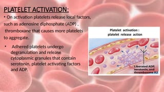 COAGULATION OF BLOOD AND VARIOUS METHOD TO ARREST (5) (1) (1).pptx