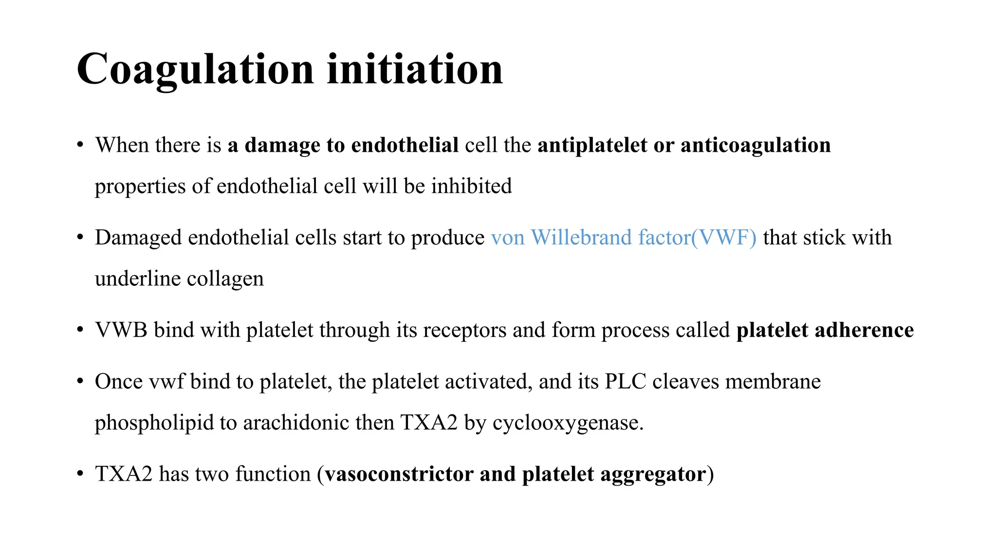 Coagulation initiation
• When there is a damage to endothelial cell the antiplatelet or anticoagulation
properties of endothelial cell will be inhibited
• Damaged endothelial cells start to produce von Willebrand factor(VWF) that stick with
underline collagen
• VWB bind with platelet through its receptors and form process called platelet adherence
• Once vwf bind to platelet, the platelet activated, and its PLC cleaves membrane
phospholipid to arachidonic then TXA2 by cyclooxygenase.
• TXA2 has two function (vasoconstrictor and platelet aggregator)
 