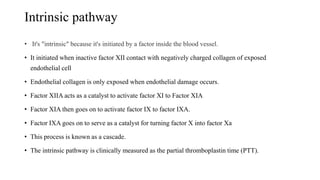Intrinsic pathway
• It's "intrinsic" because it's initiated by a factor inside the blood vessel.
• It initiated when inactive factor XII contact with negatively charged collagen of exposed
endothelial cell
• Endothelial collagen is only exposed when endothelial damage occurs.
• Factor XIIA acts as a catalyst to activate factor XI to Factor XIA
• Factor XIA then goes on to activate factor IX to factor IXA.
• Factor IXA goes on to serve as a catalyst for turning factor X into factor Xa
• This process is known as a cascade.
• The intrinsic pathway is clinically measured as the partial thromboplastin time (PTT).
 